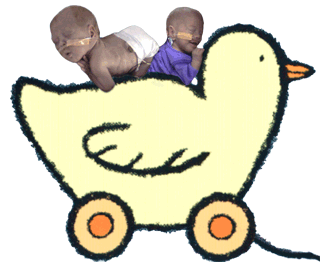 ducky